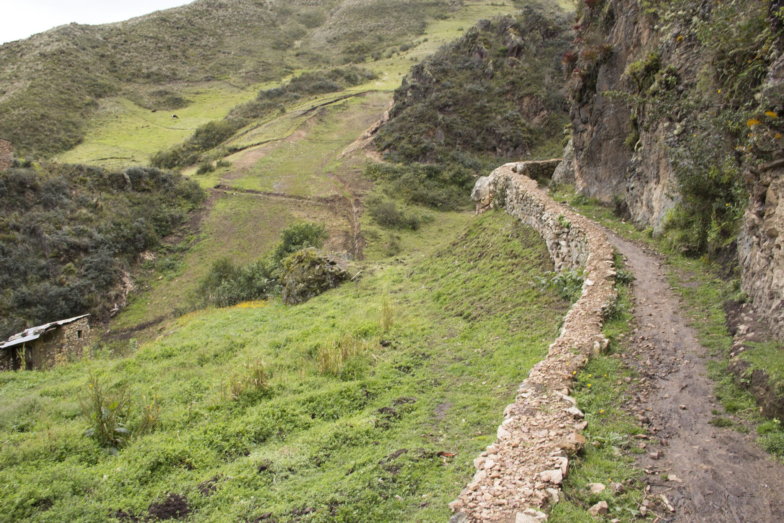 Tramo del Cápac Ñan o camino inca en los Andes ecuatorianos