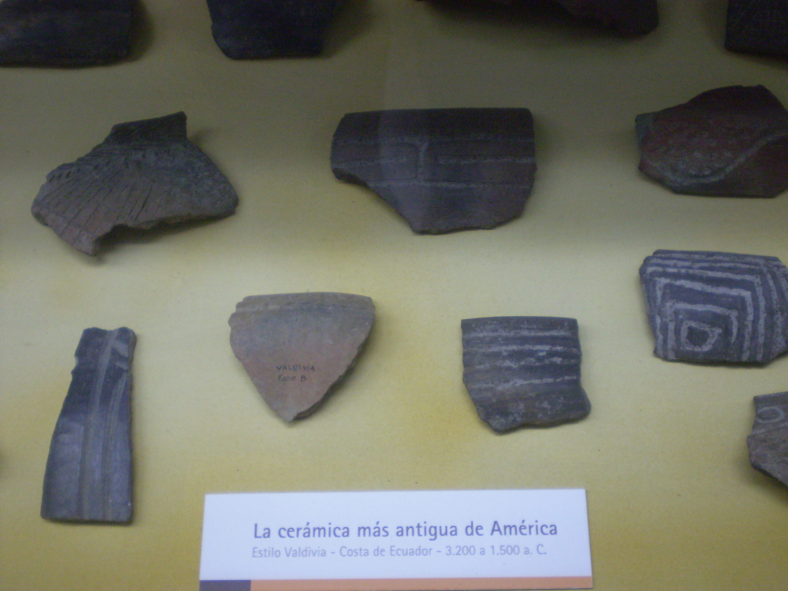 Vasijas de cerámica de estilo Valdivia expuestas en vitrina de museo