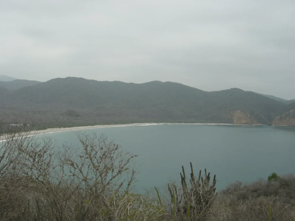 Vista panorámica de una bahía y playa en la costa de Manabí, rodeada de bosque seco, un entorno natural que ofrecía recursos marinos y terrestres a las comunidades vinculadas con la cultura Chorrera y Engoroy