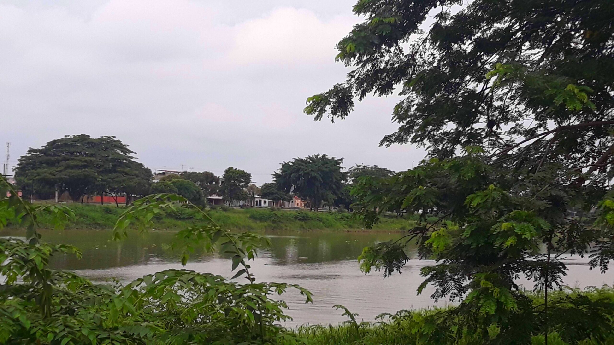 Vista del río Babahoyo, en la cuenca del Guayas, territorio nuclear de la cultura Milagro-Quevedo