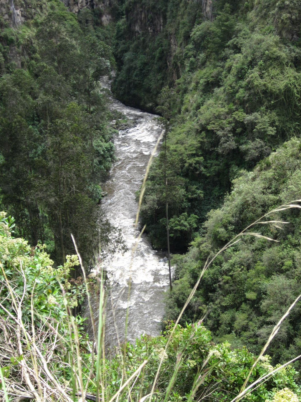 Vista del río Guáitara, en la frontera entre Ecuador y Colombia, escenario de la campaña militar contra Pasto en 1822 y 1823