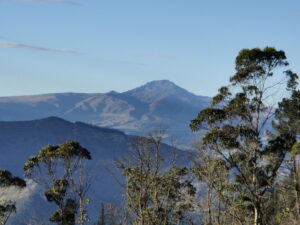 Los primeros poblamientos precerámicos del Ecuador